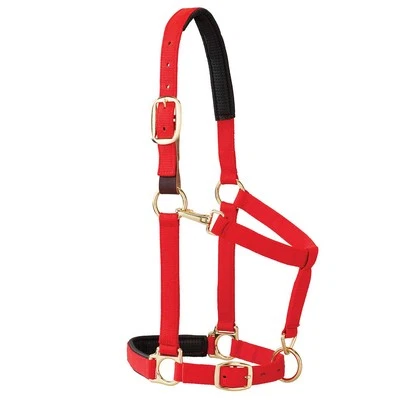 Comfortable Draft Horse Halter with Breakaway Fuse Soft Padding 28in x 18in - Image 1 of 4