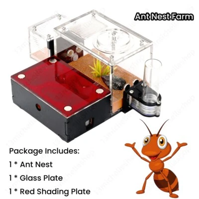 MARKENLOS Ant Farm Ameisenfarm Ant Nest Ameisennest Formicarium mit externem Abfallbereich