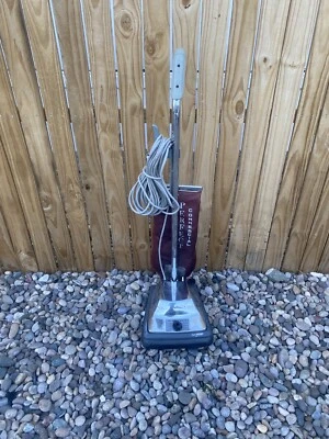 Aspiradora vertical comercial Perfect P101 con bolsas para sacudir Foto 1 de 4