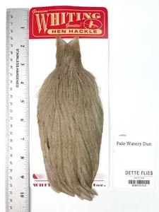 Whiting Farms Hackle Hen Cape - Pale Watery Dun (#3) - Bild 1 von 1