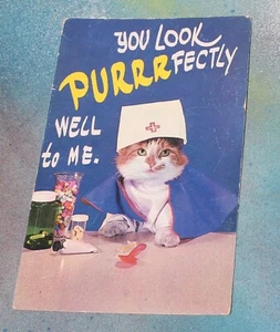 Plastichrome POSTCARD ColourPicture Publish.: You Look Purrrfectly Well to Me - Picture 1 of 2