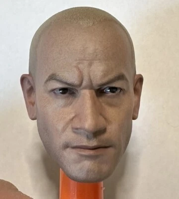 Hot Toys Star Wars Capitán Rex TMS018 Escala 1/6 - Cabeza Esculpida. Ideal para TMS119 Foto 1 de 2