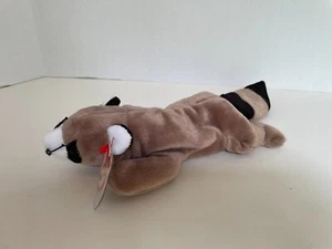 ty Beanie Baby -"RINGO," the raccoon, MWMT 1995 - Picture 1 of 2