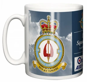 Taza de té de cerámica escuadrón 10 de la RAF, lema cresta, base Brize Norton de la Royal Air Force - Imagen 1 de 5
