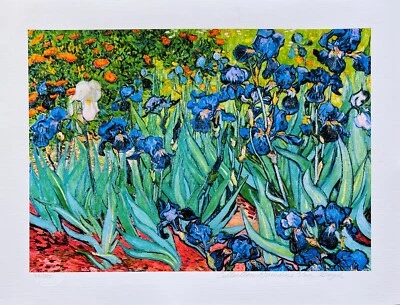Arte giclee edición limitada firmado por Vincent Van Gogh IRISES Estate 12" x 16" Foto 1 de 4