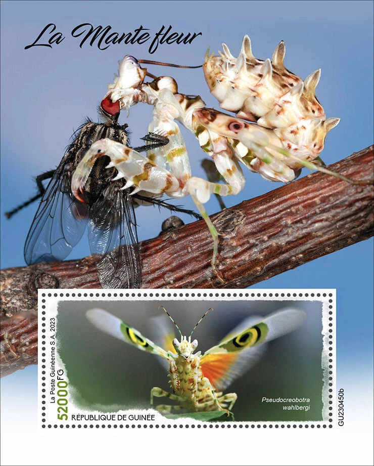 Spiny Flower Mantis Insects MNH Stamps 2023 Guinea S/S - Image 1 of 1