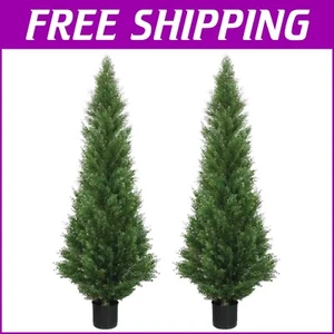 Maintenance-Free 5-Foot Cedar Topiary Trees in Quality Pots - Indoor & Outdoor - Picture 1 of 11
