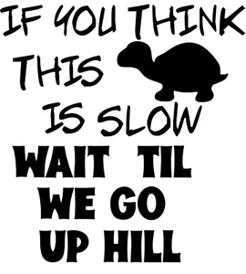 ROAD RAGE SLOWER THEN  A TURTLE DECAL STICKER - Bild 1 von 1