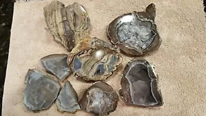 5 Dugway Geodes Cut/Polished & 4 Small Geode Pieces B-202 - Bild 1 von 9