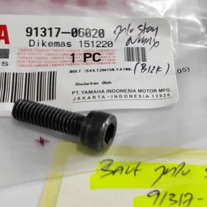 Genuine Parts Yamaha YZF R3/MT 03 2015-2023 Handlebar End Grip Bolt 91317-06020 - Picture 1 of 2