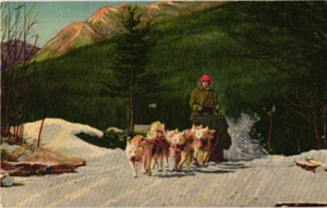 North Woodstock NH New Hampshire Ed Clark Sled Dogs Winter Linen Postcard - Picture 1 of 2