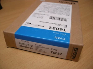 Original Epson T603200 Cyan Tintenwagen 220ml StylusPro 7800 7880 9800 9880 T6032 - Bild 1 von 1