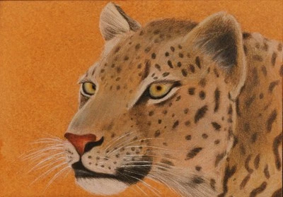 Leopardo, Tarjeta de Arte Original ACEO, Lápiz/Tinta de Color, 2.5x3.5, Firmada Foto 1 de 3