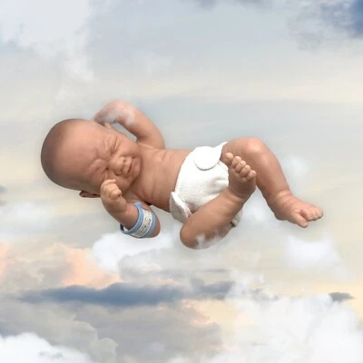 Berenguer Boutique Anatomically Correct Boy  14" Doll La Newborn Retired - Image 1 of 4