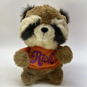 11 ZOLL VINTAGE SHIRT TALES RICK WASCHBÄR HASBRO STOFFTIER PLÜSCHTIER SUPER RASCAL - Bild 1 von 10