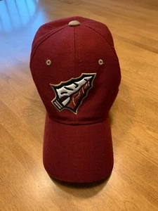 FLORIDA STATE SEMINOLES ZEPHYR ARROWHEAD CAP HAT - SIZE 7 - Picture 1 of 2