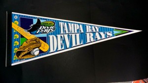 Tampa Bay Devil Rays - Team Pennant!