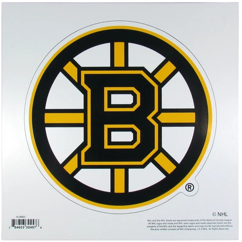 Siskiyou NHL Boston Bruins Medium Team Logo Magnet Cover