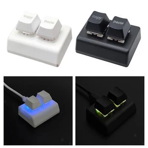 Copy and Paste 2 Key Keyboard RGB Backlit USB Mini 2 Key Keypad for Drawing - Picture 1 of 4