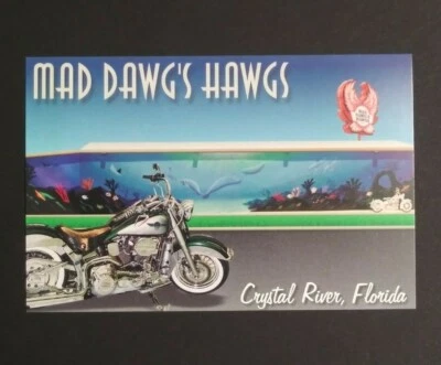 Mad Dawgs Hawgs Harley Davidson FL concesionario publicidad motocicleta postal a Foto 1 de 3