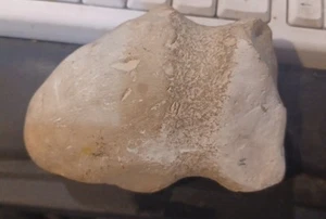 Ancient Indian Tool  Found in Benton County Mo. - Picture 1 of 8