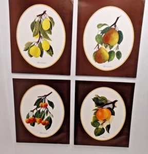 Aspelin Art Galleries Ltd. 1983 impresiones frutas - Imagen 1 de 5