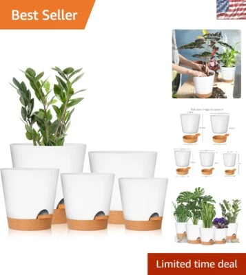 Modern Matte Finish Flower Pots 5 Sizes - Ideal for Cacti and African Violets - Image 1 of 4