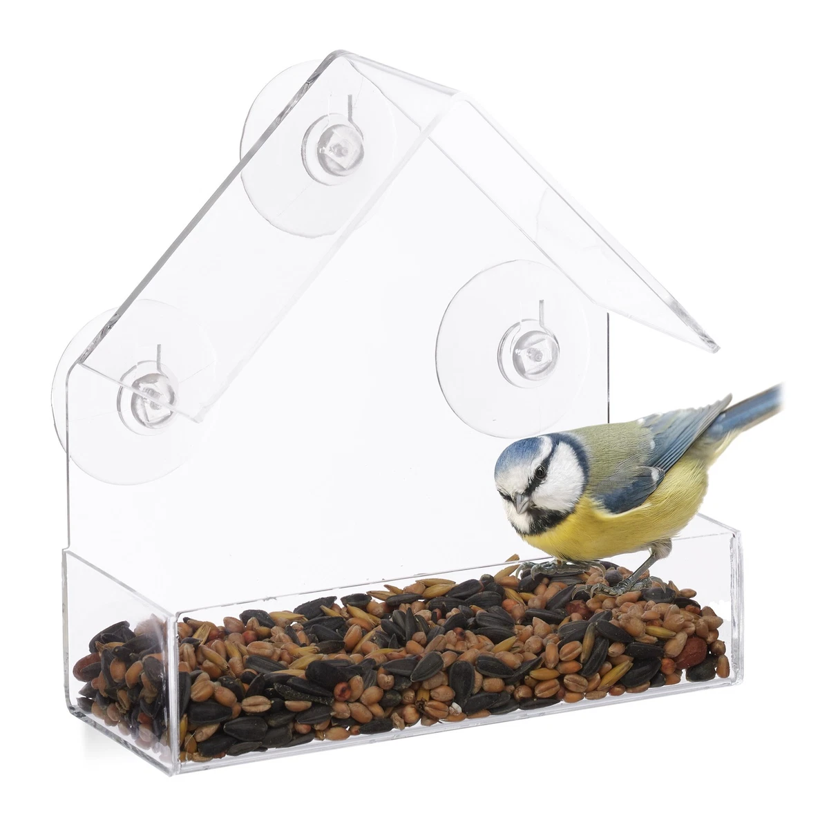 Redwood BB-BF111 Vogelfutterstation Fürs Fenster – Plexiglas, Mit Saugnapf, Zum Aufhängen
