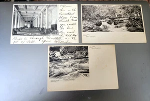 3 cartoline diverse Virginia Hot Springs The Homestead Albertype UDB - Foto 1 di 2