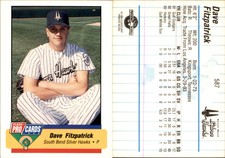 Dave Fitzpatrick 1994 Fleer ProCards #587 Card *AutographDen*