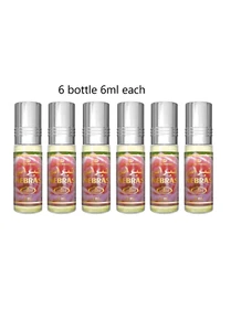 Nebras By Al Rehab 6mlx 6 Floral Amber Citrus Parfum oil Unisex Long lasting - Picture 1 of 8