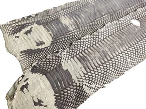 Retro natural color Genuine old scared cobra snake Skin Leather hide - Picture 1 of 19