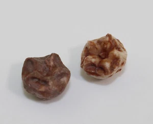 Crinoide, Eugeniacrinites zitteli, Kreide, Berrias, Stramberk, CZE -c953 - Picture 1 of 10