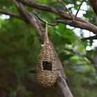 Decorative Outdoor Bird Cage Pastoral Style Bird Shelter Hideaway  Garden