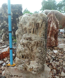 OZEANFINDLING Findling 63x70cm Naturstein Meeresgestein Stein Korallen ähnlich - Bild 1 von 3