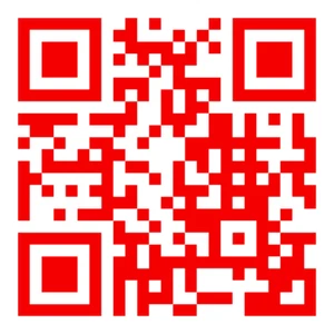 Adesivo decalcomania vinile fustellato codice QR aziendale o personale personalizzato insegna finestra auto - Foto 1 di 9