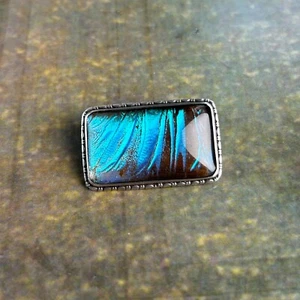 Antike Sterling Silber blaue Morpho Schmetterling Flügel Rechteck Brosche Art Deco - Bild 1 von 11