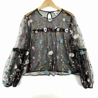 Sheer Mesh Blouse L Floral Embroidered Whimsigoth Fairy Grunge Cottageore Witchy - Image 1 of 4