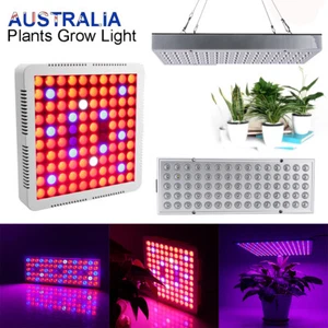 2000W LED Grow Light Hydroponic Full Spectrum Growing Lamp Plant Veg Indoor AU - Picture 1 of 47