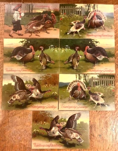 7 antique THANKSGIVING TURKEY Fink Berlin GERMANY embossed POSTCARD early 1900 - Picture 1 of 9