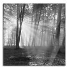 Forest With Rays of the Sun Glass Art Square Made Real Glass, Wall Mount Bracket