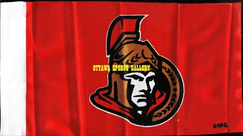 FUTURE PRODUCTS OTTAWA SENATORS  6X9" ANTENNA FLAG NEW IN ORIGINAL PACKAGE (M23) Cover