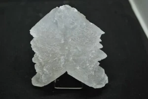 GYPSE FISH TAIL de NAICA ETAT DE CHIHUAHUA au MEXIQUE - Imagen 1 de 4