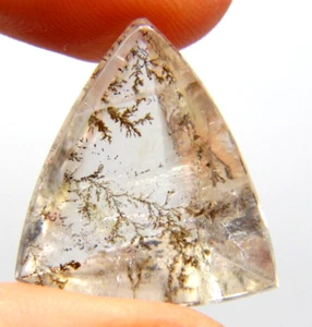 IP-4  Dendrite Quartz 19.86ct B 23x21x9mm Trillion picture stone garden branches - Picture 1 of 4