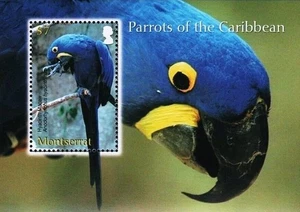MONTSERRAT 2007 BIRDS / PARROTS S/S SC#1194  MNH - Picture 1 of 1