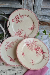 3 ANTIQUE DESSERT PLATES IRON EARTH FAVORITE BIRD SARREGUEMINES DIGOIN - Picture 1 of 5