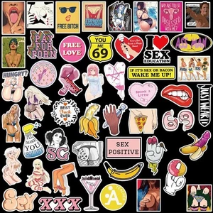 96 Stck. Erwachsene Aufkleber Bombe Vinyl Laptop Wasserflasche Gepäck Sexy Girl Abziehbilder Pack - Bild 1 von 12