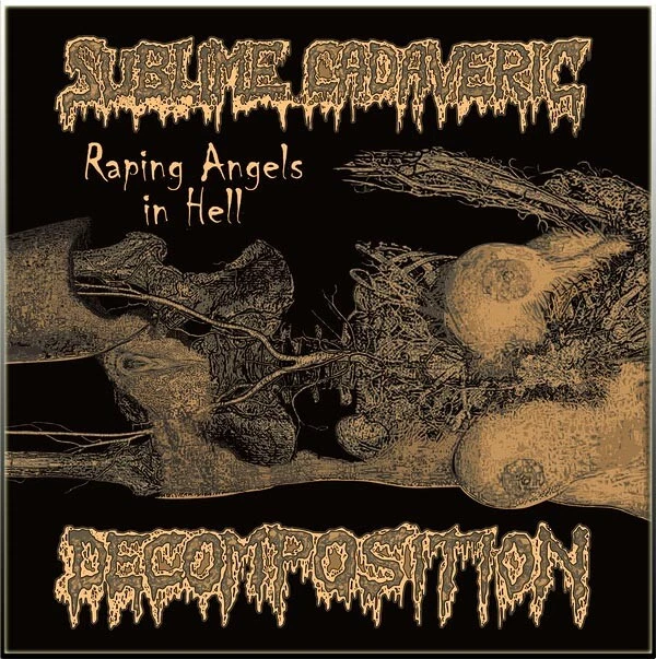 SUBLIME CADAVERIC DECOMPOSITION - Raping Angels In Hell DigiCD NEW, Death/Grind - Bild 1 von 1