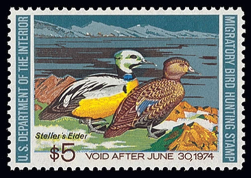 RW40 — 1973 Federal Duck Stamp, Mint NH - Image 1 of 1