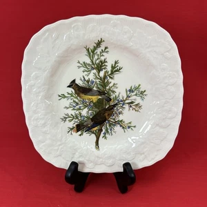 Alfred Meakin Audubon Birds of America Plate #43 Cedar Bird 8.75” England - Picture 1 of 13
